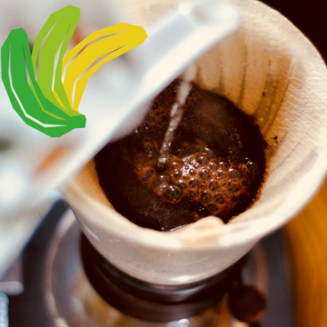 V60 Brew Guide