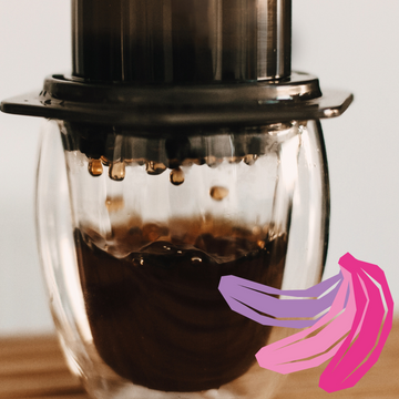 Aeropress Brew Guide