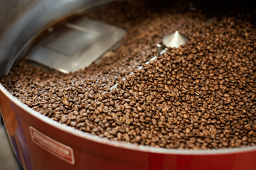 Robusta vs Arabica - What’s the Difference?
