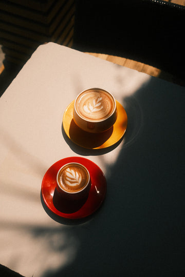 Light Roast vs Dark Roast Coffee: How to Find the Roast That’s Right for You