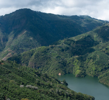 August Coffee of the Month: Costa Rica Guanacaste