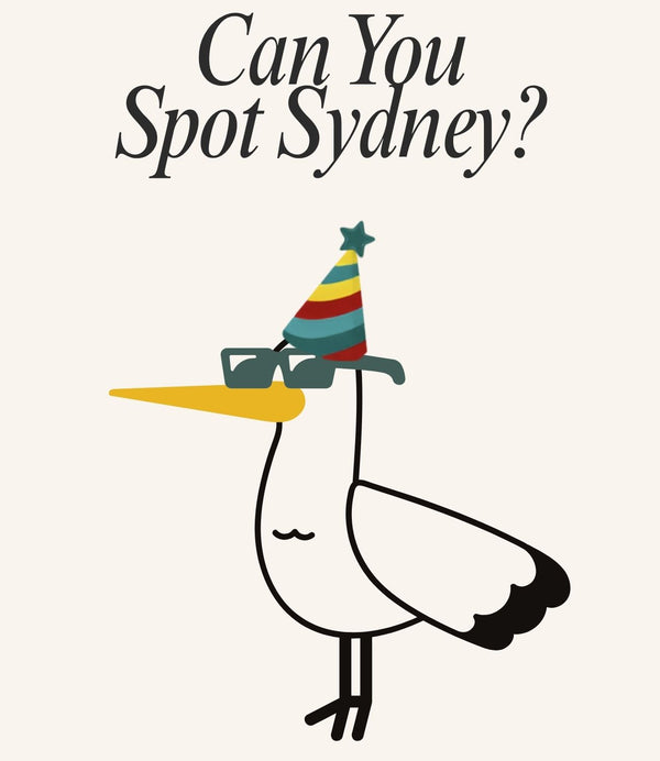 Sydney The Seagull