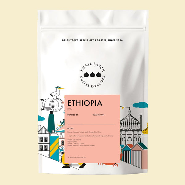 OG Goldstone Single Origin Discovery Kit