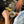 Hands Pouring Coffee in Cafe - Small Batch