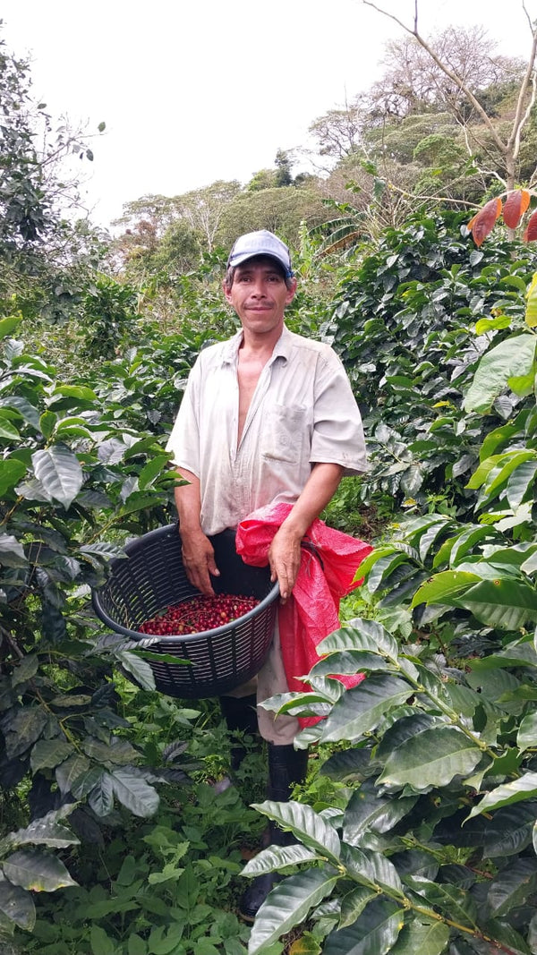 Nicaragua Sajonia