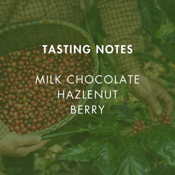 OG Goldstone 20th Anniversary Blend