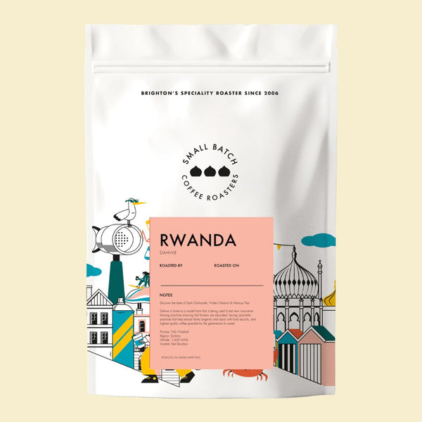OG Goldstone Single Origin Discovery Kit