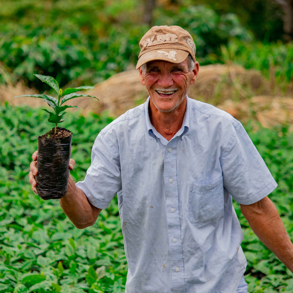 Nicaragua Sajonia