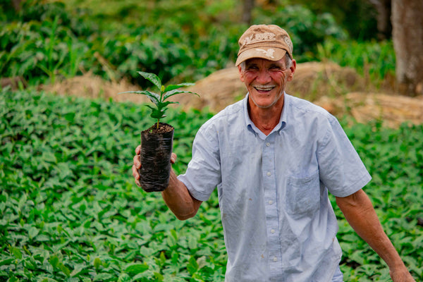 Nicaragua Sajonia
