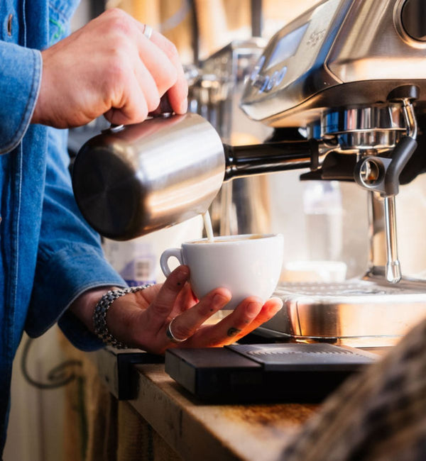Goldstone Single Origin Discovery Kit