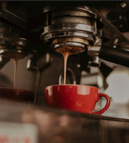 Coffee School - Home Brewing Course - Brighton Roastery