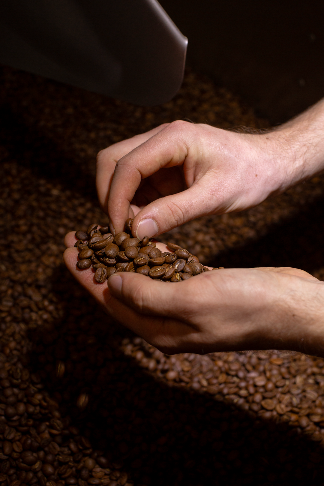 Wholesale - Small Batch Coffee Roasters