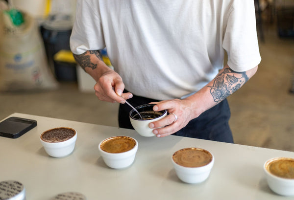 Coffee School - Home Brewing Course - Brighton Roastery